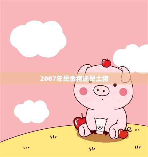 2007年是什么猪|2007年属猪是什么命，07年出生五行属什么